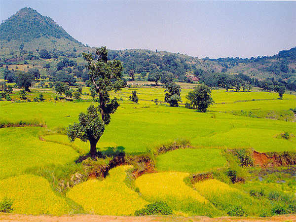 ಬುಡಕಟ್ಟು ಜನಾಂಗ