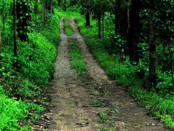 Chikkamagalur Chikkamagalur