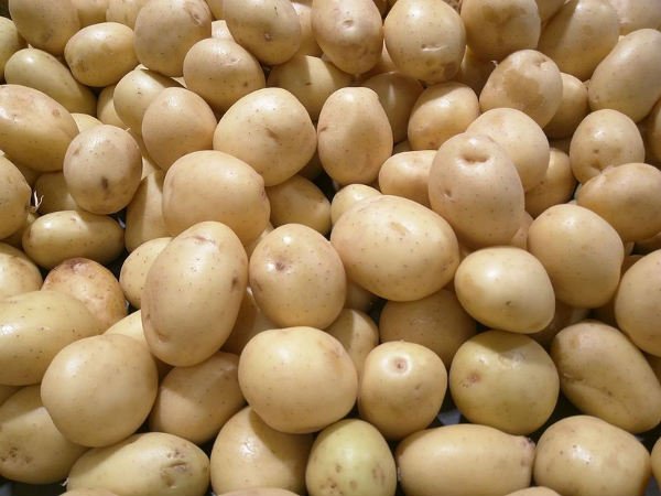 ಆಲುಗಡ್ಡೆ