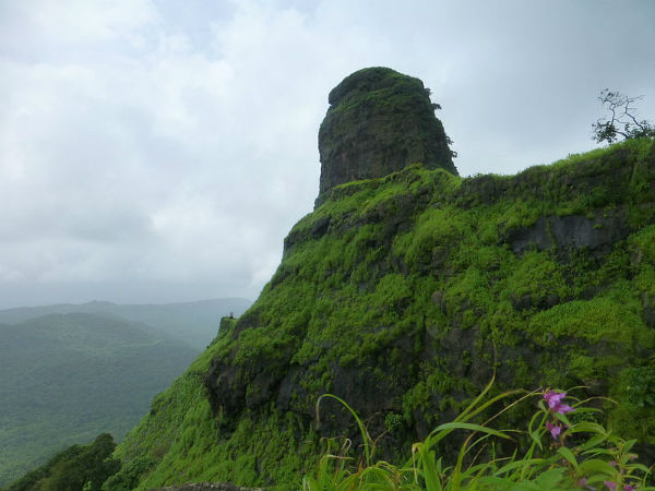 ಗಮನವಿಡಲು