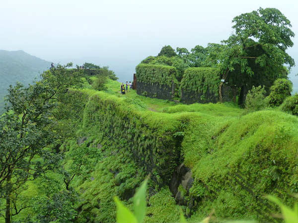 ದೇವಗಿರಿ ಯಾದವರು