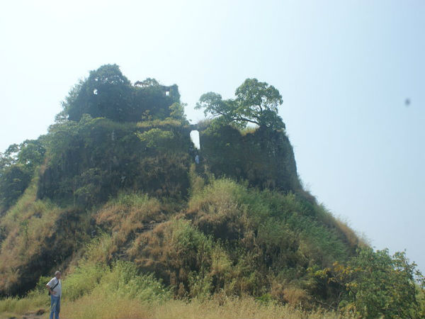 ಶಾಸನಗಳು