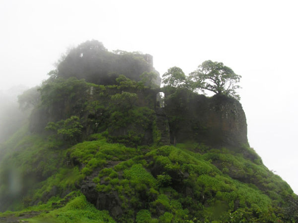 ಜೇನುಗೂಡುಗಳಿವೆ!