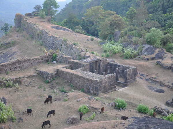 ಕುತೂಹಲಕರ