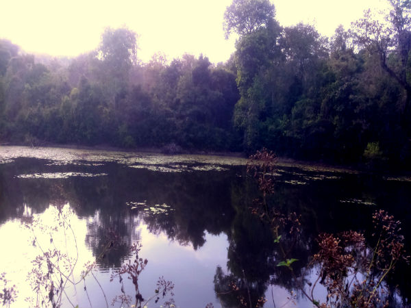 ನೀರು ಮಾರ್ಗಗಳು