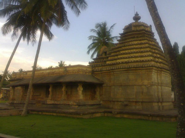 ಹಳಸಿ