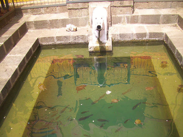 ಪುಣೆಯಿಂದ