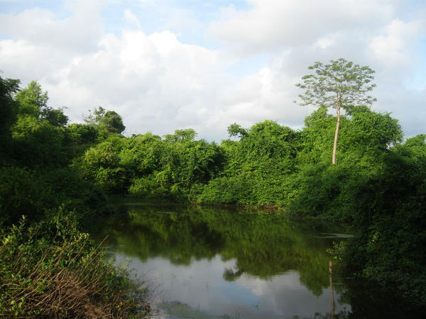 ಸಾಂಪ್ರದಾಯಿಕ ಗ್ರಾಮ