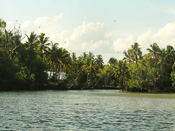 ನೈಸರ್ಗಿಕ ಬಂದರು