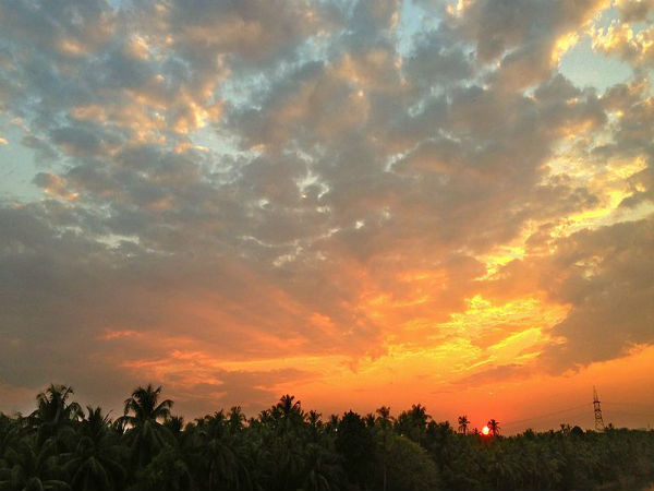 ಅರಬ್ಬಿ ಸಮುದ್ರ