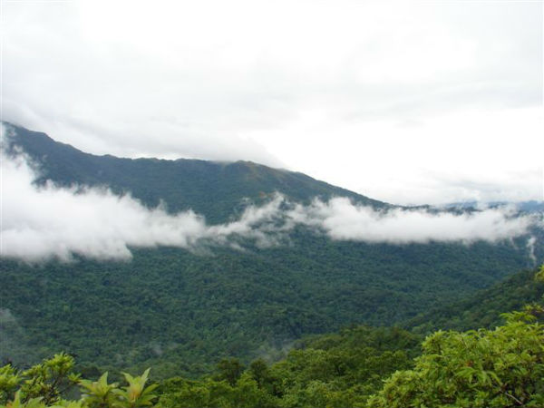 ಅದ್ಭುತ ನೋಟ