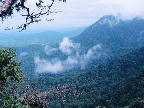 ತೀರ್ಥಹಳ್ಳಿ