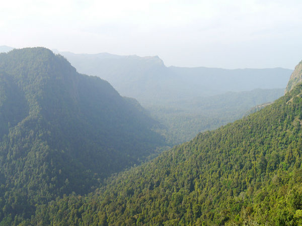 ನಿತ್ಯಹರಿದ್ವರ್ಣ