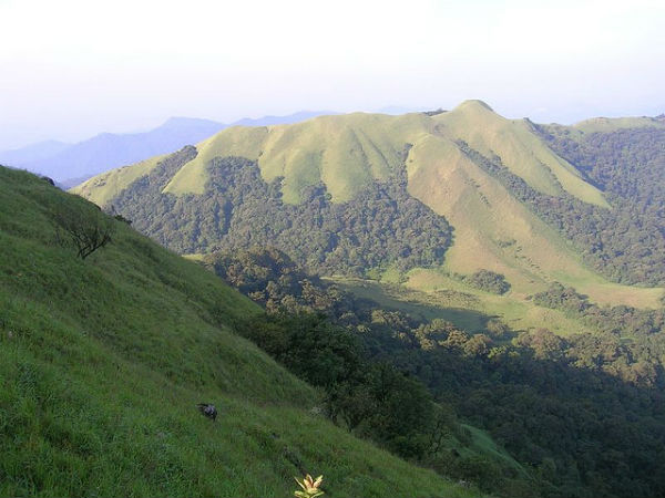 ವೈವಿಧ್ಯಮಯ