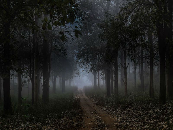 ರಾಷ್ಟ್ರೀಯ ಉದ್ಯಾನ
