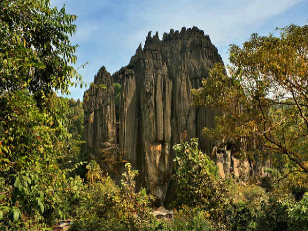 ಐವತ್ತಕ್ಕೂ ಅಧಿಕ