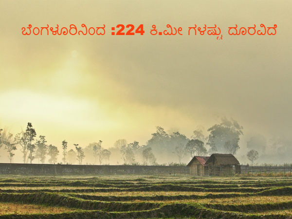 ರಾಷ್ಟ್ರೀಯ ಉದ್ಯಾನ
