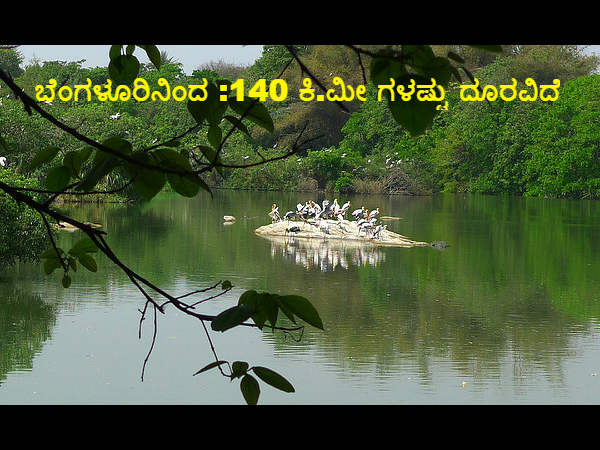 ಪಕ್ಷಿಧಾಮ