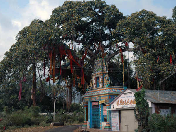 ತೆನ್ಕಾಶಿ