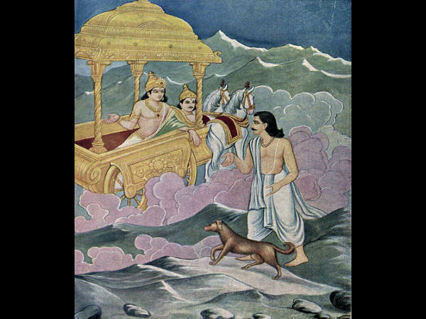 ಕುತೂಹಲಕರ