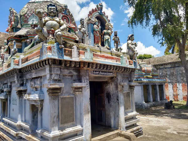 ಜಿಂಕೆಗೆ ಆಶ್ರಯ