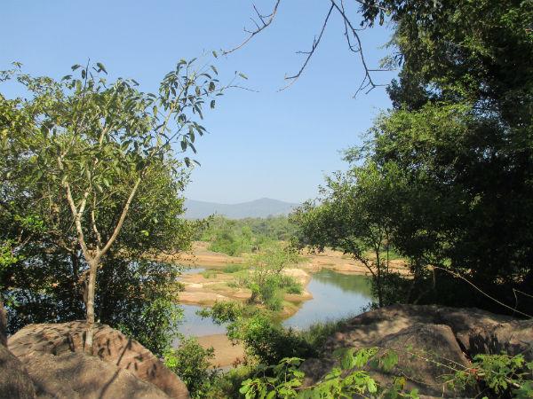 ಹುಂಜ