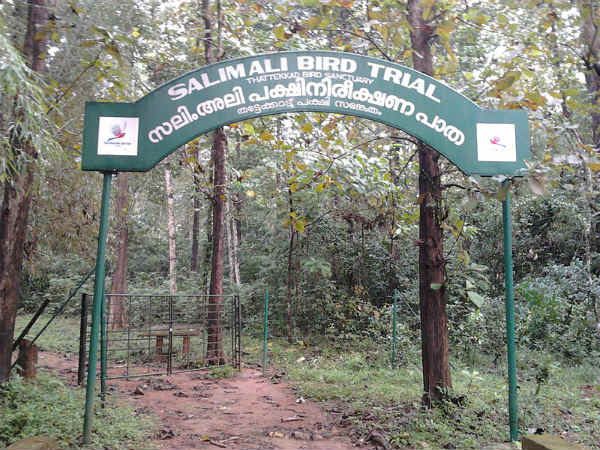 ತಟ್ಟೆಕಾಡ್