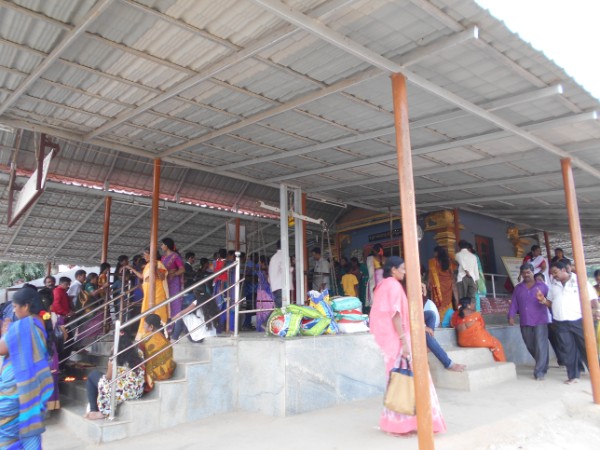 ನಾಗನಿಗೆ