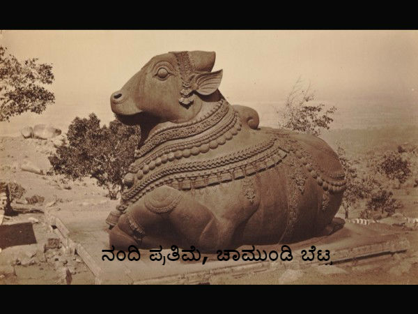 ಚಾಮುಂಡಿ ಬೆಟ್ಟ