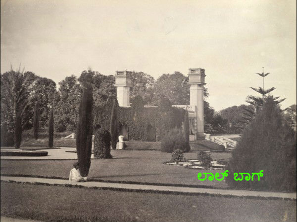 ಸಸ್ಯಕಾಶಿ