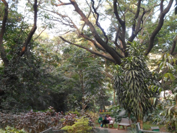 ಜನಸಾಗರ ಸೇರಿರುತ್ತದೆ