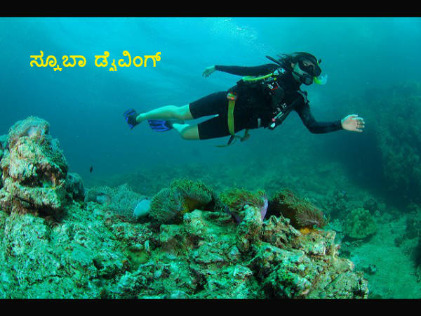 ಸ್ಕೂಬಾ ಡೈವಿಂಗ್