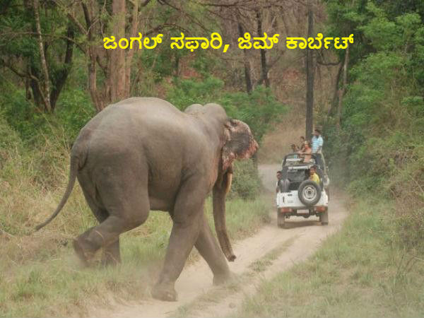 ಜಿಮ್ ಕಾರ್ಬೆಟ್