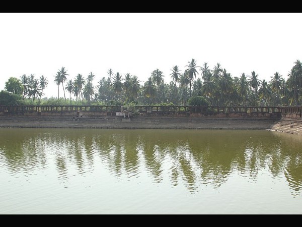 ಸ್ವತಃ ನೋಡಿದಳು