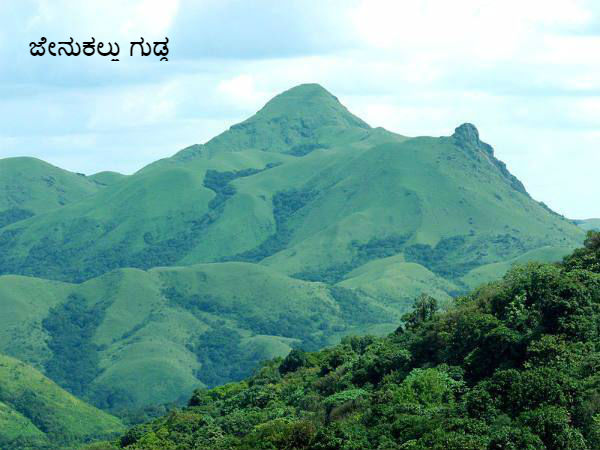 ಸಕಲೇಶಪುರ
