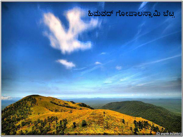 ಬಂಡೀಪುರ