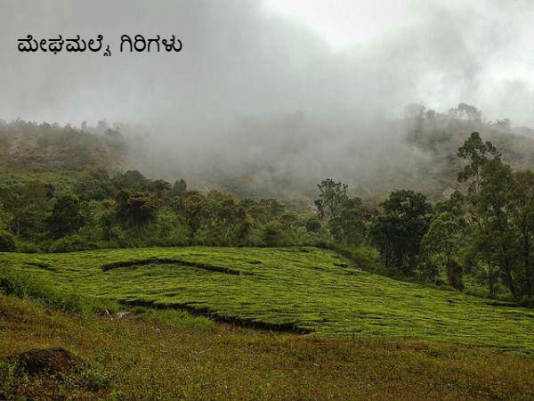 ತೇಣಿ