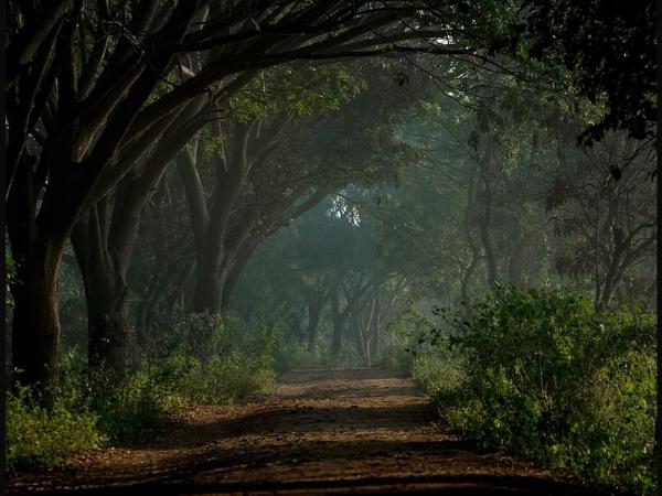 ಮನಮೋಹಕ