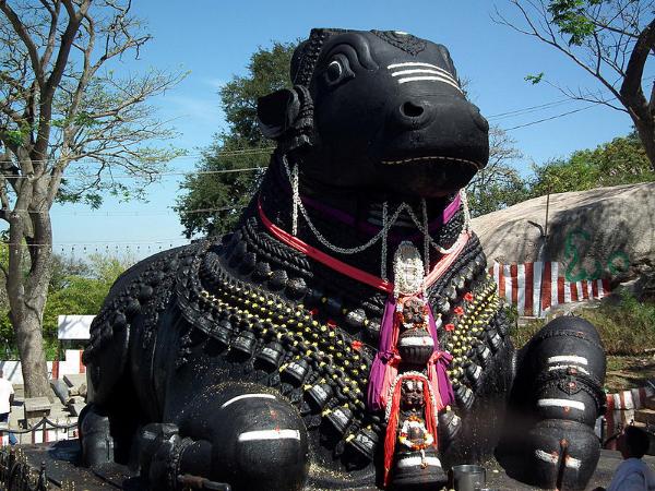 ಚಾಮುಂಡೇಶ್ವರಿ ಬೆಟ್ಟ