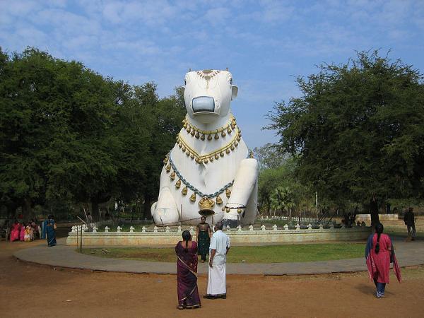 ನಂದ್ಯಾಲ
