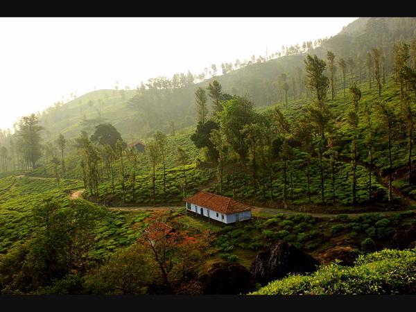 ಮೆಪ್ಪಾಡಿ