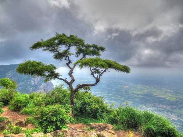 ಪಾಲಕ್ಕಾಡ್