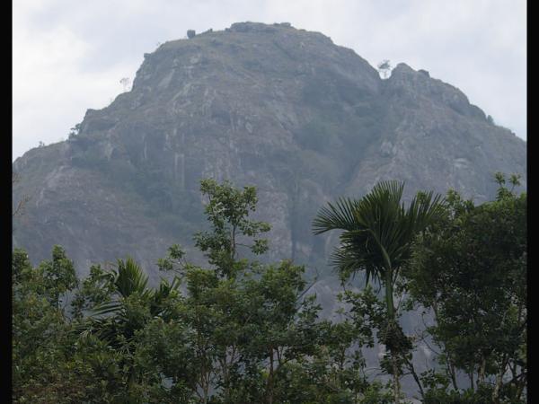 ಆಕರ್ಷಿಸುತ್ತದೆ
