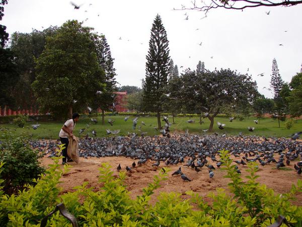 ಎಷ್ಟು ವೆಚ್ಚ?