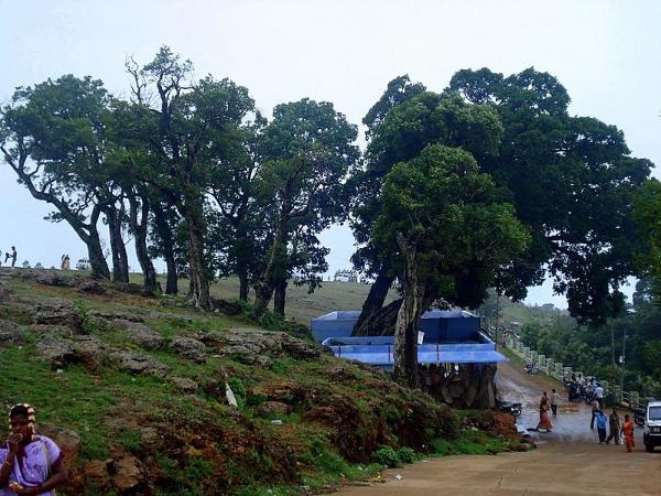 ಸೆರ್ವರಾಯ