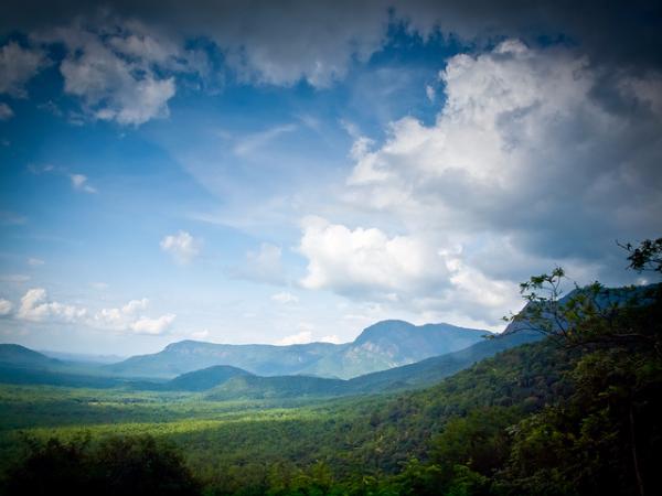 ಕಣ್ಮನ ಸೆಳೆಯುವ ನೋಟ