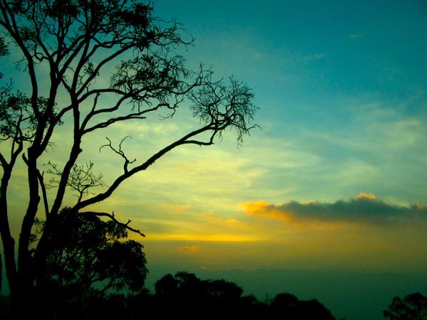 ನಿರ್ಮಲ ಭಾವ