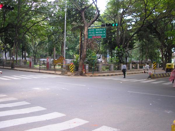 ಆಮೆಗಳಿವೆ