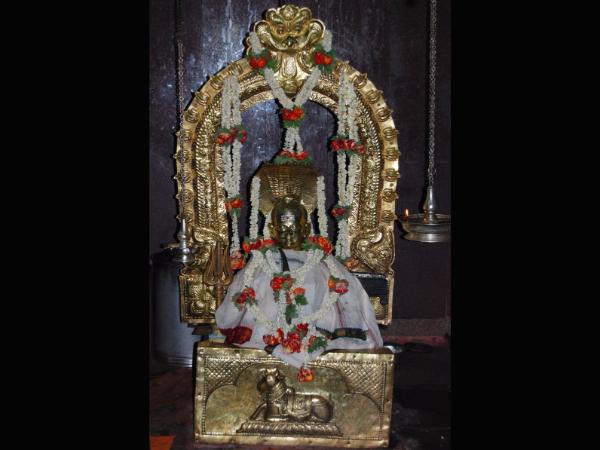 ತಾವೆ ಬಂದರು