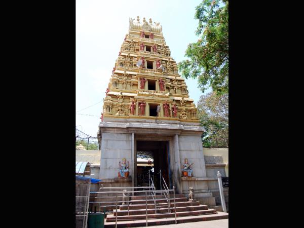 ದಿಟ್ಟಿಸಿದಳು